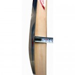 RS Robinson Recorder Kashmir Willow Cricket Bat (SH)
